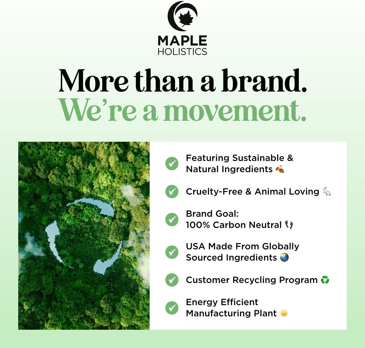 Pure Tea Tree Oil for Hair Skin and Nails - 100% Pure Undiluted Tea Tree Essential Oil with Dropper for Topical Uses Aromatherapy Diffusing and Home and Beauty Diys - Vegan and Cruelty Free (1 Fl Oz)